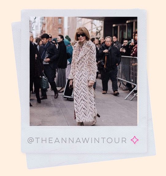 @theannawintour style icon over 50